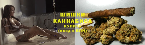 Альфа ПВП Аркадак